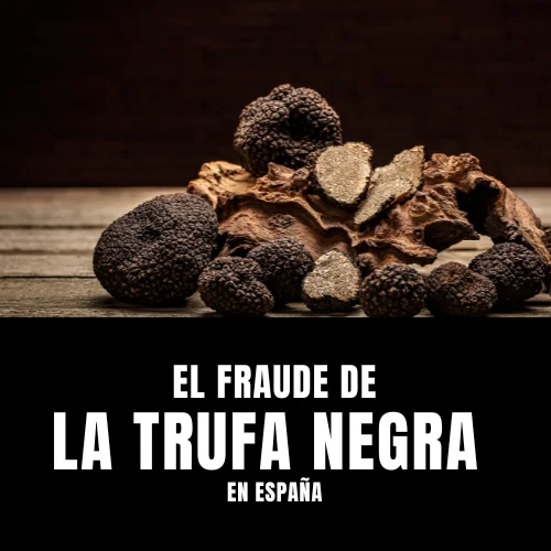 EL FRAUDE DE LA TRUFA NEGRA EN ESPAÑA